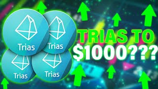 Why You NEED 1000 TRIAS 12 Month Update [upl. by Suitangi]