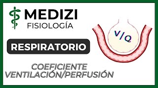 Clase 40 Fisiología Respiratoria  Coeficiente Ventilación Perfusión VQ IGdoctorpaiva [upl. by Salvay]