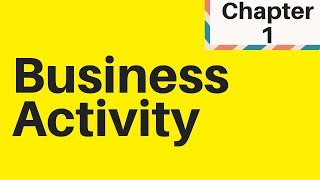 11 Understanding Business Activity IGCSE Business studies [upl. by Aihcila]