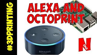 How To Set up OctoPrint with The Amazon Echo Home Automation [upl. by Gish]