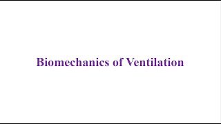 Lecture 4 Biomechanics By Dr\ Mahmoud [upl. by Melany]