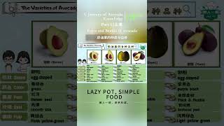 【The Variety and benefits of Avocado】 ENG Part 1 Avocadoavocadopasta [upl. by Enihpesoj]