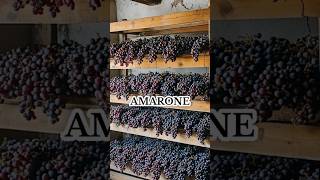 Amarone Şarabı şarap [upl. by Jandy]