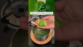 ANTI ALLERGY HOME REMEDY JUICE RECIPEMOO RECIPE shorts [upl. by Adaha]