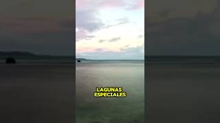 quotLa Magia de la Bahía Bioluminiscente Un Espectáculo Natural  viajes viajemagico maravillas [upl. by Stillmann15]