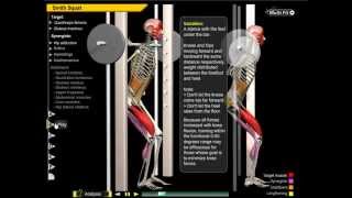 Knee Valgus Collapse During Squat [upl. by Ayirp]