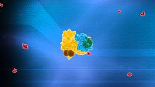 Ubiquitin System Animation  Nobel Prize in Chemistry 2004 Technion [upl. by Joey256]