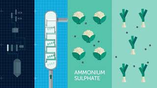 AnQore Acrylonitrile Production [upl. by Rainger]