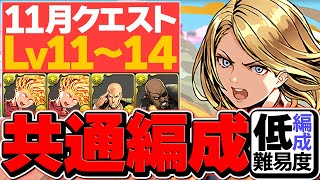 魔法石50個が今すぐ欲しい人専用！誰でも組めるキャプテンマーベル編成で11月クエストLV11LV14 代用解説！【パズドラ】 [upl. by Chaunce]