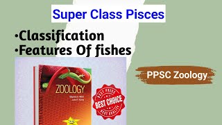 Fishes  Classification Of Pisces  Invertebrates And Chordates  PPSC  BS Zoology  Semester No 03 [upl. by Einnahc233]