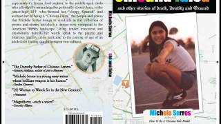 Chicana Falsa  Michele Serros  Book Analysis  No Spoilers [upl. by Giacomo140]