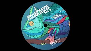 Souldynamic  Akinesia Chameleon EP Vol2  Excedo Records [upl. by Salot]