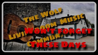 Wont forget these Days  Cover  Wolfs Livingroom [upl. by Anewor]