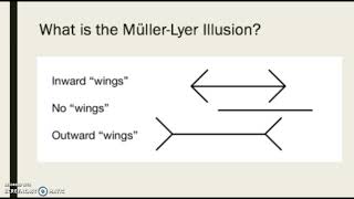 MullerLyer Illusion [upl. by Cleland14]