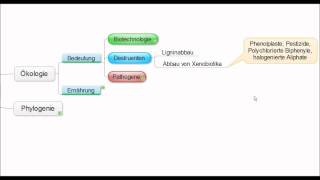 01 Crashkurs Mikrobiologie  Pilze Mycota allgemein [upl. by Nnaytsirk]