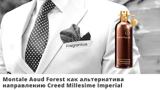 Montale Aoud Forest как альтернатива направлению Creed Millesime Imperial [upl. by Seymour]