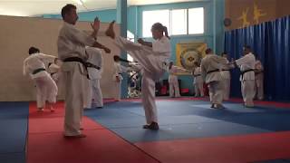 Mawashi Geri training Kyokushin [upl. by Collbaith]