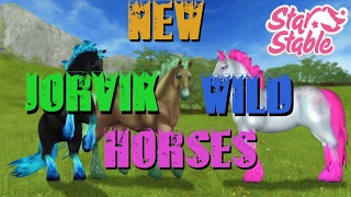 Star Stable Online New Jorvik Wild Horses [upl. by Yesima]