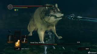 DARK SOULS SIF ARTORIAS DOGGO FIRST TRY [upl. by Cyrilla129]