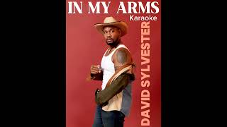 IN MY ARMS Karaoke DAVID SYLVESTER [upl. by Sucitivel305]