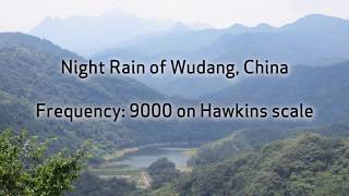 Wudang Night Rain  Relaxation at 9000 on Hawkins scale [upl. by Anamuj]