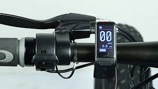 LCD SW102 Display Available for Electric Bicycle Bafang Motor [upl. by Navert]