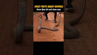 Crazy Facts About Animals 🐸🦘  Amazing Facts  Random Facts  Mind Blowing Facts in Hindi shorts​ [upl. by Blancha]