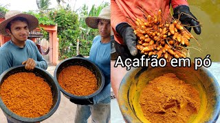 como fazer o pó de açafrão da terra em casa [upl. by Adiesirb916]