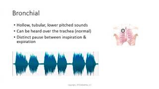 Bronchial breath sounds [upl. by Gibbon664]