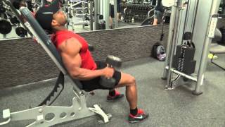 SEATED HAMMER CURL [upl. by Bagley]