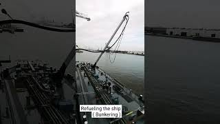 How to refueling the ship 🤩  Bunkering process  sea ship fuel maersk msc evergreen cmacgm [upl. by Lirrad714]