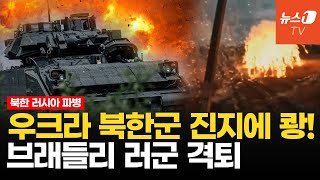 북한군 첫 전투에서 1명 빼고 전멸미국의 레드라인 넘었나 [upl. by Lamahj25]