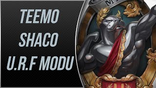 KABIZ EDEN Teemo vs Riot Ekibi  URF Modu  LoL  Eğlence Serisi 1 [upl. by Zednanref]