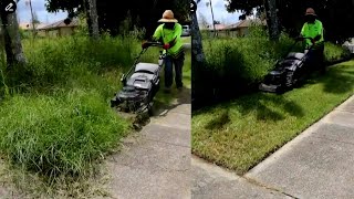 This Overgrown Corner Block Was An Eye Sore  Now The Tidiest In The Street asmr [upl. by Carlson]