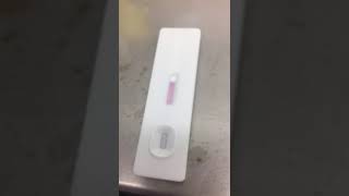 JOYSBIO SARSCOV2 Antigen Rapid Test Kit  Field Video from EU User [upl. by Jessika]