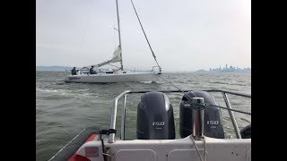 Sailboat vs Whale during Three Bridge Fiasco [upl. by Dlorad693]