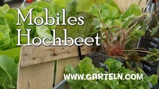 Mini Hochbeet im Einkaufswagen [upl. by Kelcy]