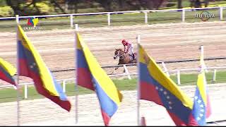 8va carrera  3ra Valida  Pintoresca  Hipódromo La Rinconada  Reunión 28  2024 [upl. by Kriste554]