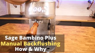 Sage  Breville Bambino Plus  How amp why to do manual cleaning cycles backflushing [upl. by Latton254]