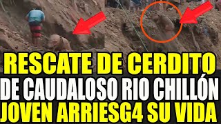 ¡CAUDALOSO RIO CHILLÓN SE LLEVA A CERDITO JOVEN ARRIESGA SU VIDA PARA SALVARLO [upl. by Aneleairam670]