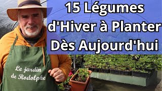 Lancezvous  15 Légumes dHiver à SemerPlanter Sans Attendre [upl. by Zirtaeb342]