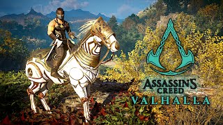 Assassins Creed Valhalla Brutal Combat amp Stealth Ultra Realistic Graphics Gameplay  4K 60 FPS [upl. by Reinaldos]