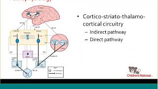 Overview of pediatric movement disorders [upl. by Buchbinder772]