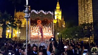 SEMANA SANTA DE SEVILLA [upl. by Yevol599]