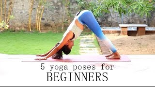 5 yoga poses for Beginners [upl. by Watkins953]