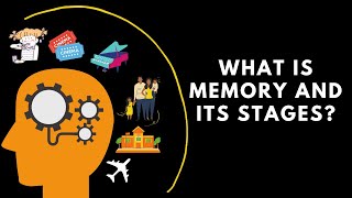 What is memory and its stages [upl. by Mirth680]