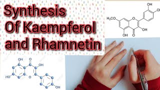 Detailed Mechanism for the Synthesis Of Kaempferol and Rhamnetin Derivatives Of Flavonoids [upl. by Norehs116]