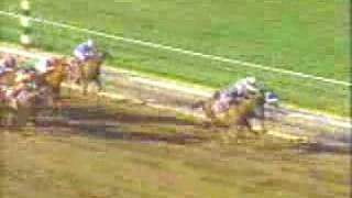 Arcangues 1993 Breeders Cup Classic [upl. by Namas]