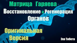 Матрица Гаряева для Восстановления и Регенерации Органов — Оригинальная Полная Версияисцеление [upl. by Ahsieyk]