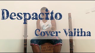 Despacito  Luis fonsi  Cover Valiha by Rado Fentsu [upl. by Canotas862]